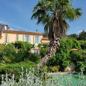 Les Palmiers , Toulon France